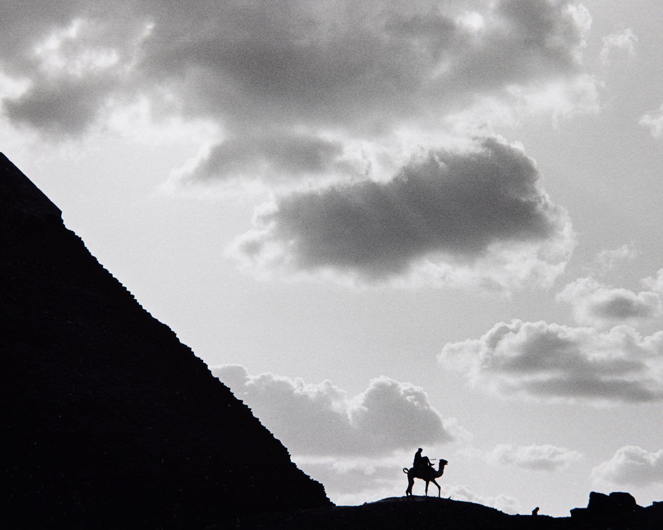 Man on a Camel in Egypt